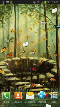 butterfly forest